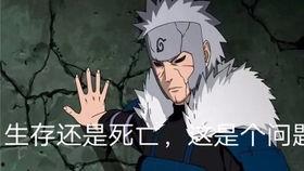 秽土二代爆料视频彩蛋,隐藏的剧情线索与角色秘密